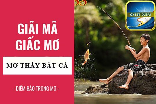 Mộng thấy bắt cá có ý nghĩa tốt hay xấu?