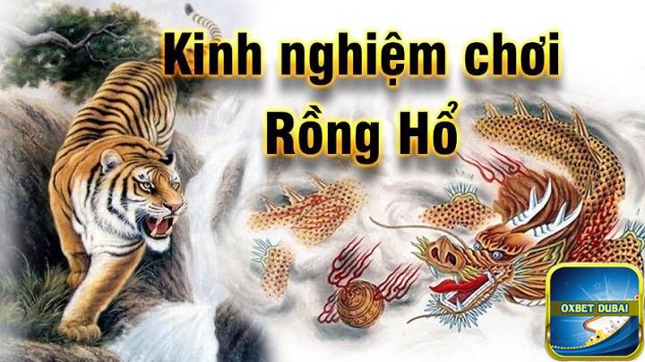 Cách chơi Rồng Hổ luôn thắng từ các cao thủ